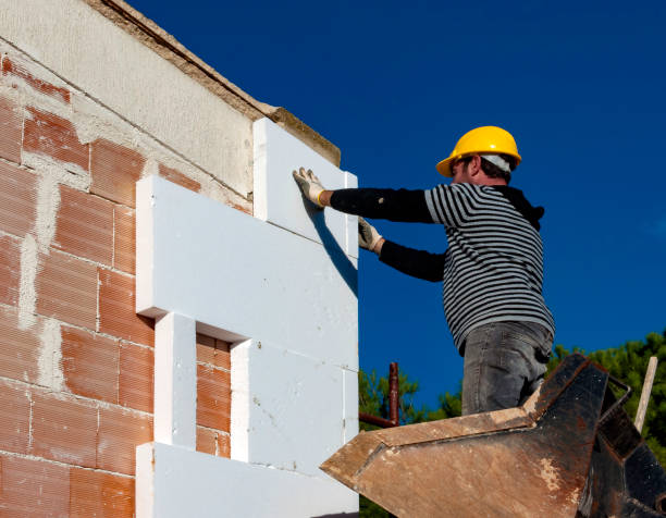 Best Cellulose Insulation in Llano Grande, TX