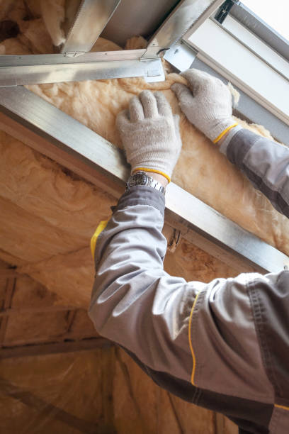 Best Insulation Maintenance and Repair in Llano Grande, TX