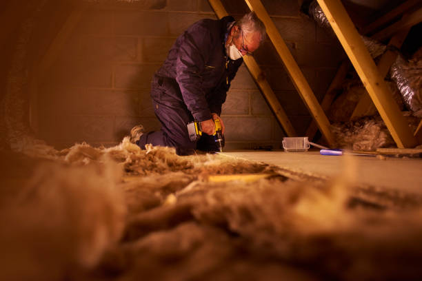 Best Eco-Friendly Insulation in Llano Grande, TX