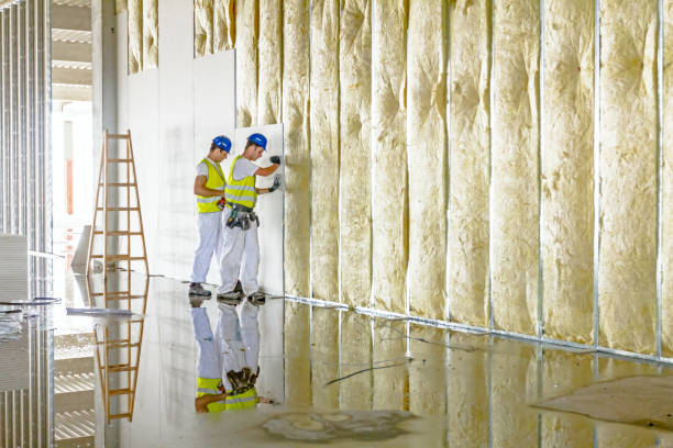 Best Spray Foam Insulation in Llano Grande, TX